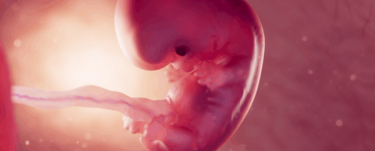 Плацента не захищає: мікропластик проникає до дитини