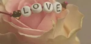 Любовний гороскоп на 17 вересня 2025 року: пристрасті, зустрічі та несподівані зізнання