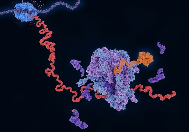 Вчені відтворили перший крок зародження життя на Землі