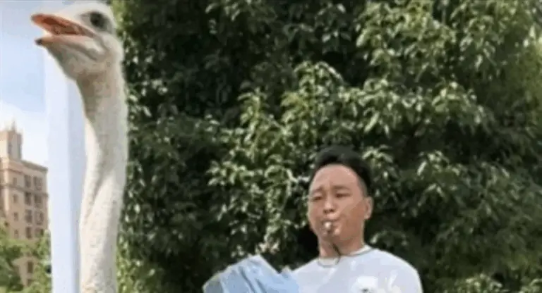 Китайський чоловік понад 10 років їздить на страусі замість авто