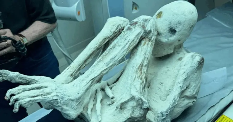 Перуанські «мумії прибульців» знову під сумнівом: дивні відбитки пальців без звичних візерунків