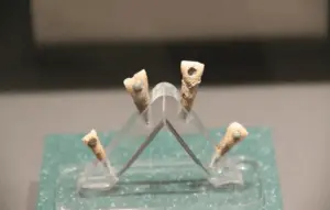 Археологи виявили зубні прикраси з зеленого нефриту у 7-річної дитини мая