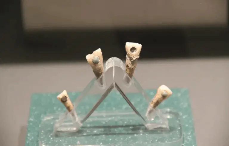 Археологи виявили зубні прикраси з зеленого нефриту у 7-річної дитини мая