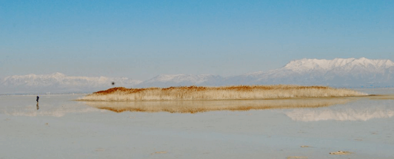 Загадкові «острови» на дні Великого Солоного озера: вчені знайшли пояснення