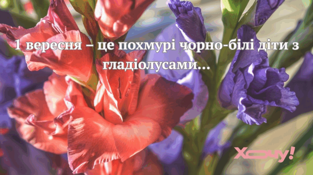 Будильник 1 вересня: батьківські чати прокинулись і засипали мемами