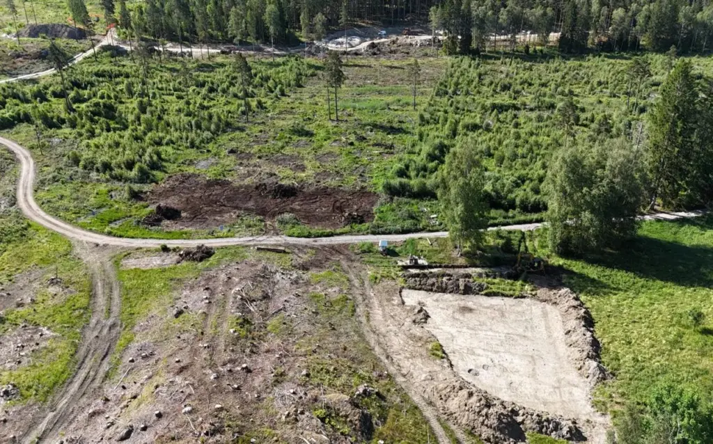 У Швеції знайшли 5000-річну «капсулу часу» в болоті