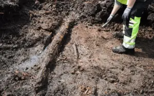 У Швеції знайшли 5000-річну «капсулу часу» в болоті