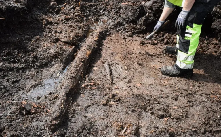 У Швеції знайшли 5000-річну «капсулу часу» в болоті