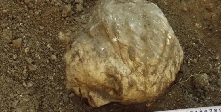 20-річна таємниця розкрита: вчені ідентифікували артефакт, знайдений у Криму (Фото)