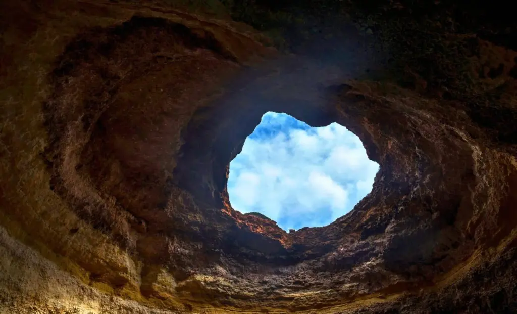 Вчені приголомшені: під Бразилією знайшли нори гігантських лінивців