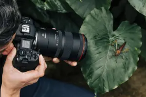 Canon RF 100 mm f/2.8 L Macro: об’єктив, який бачить більше, ніж людське око