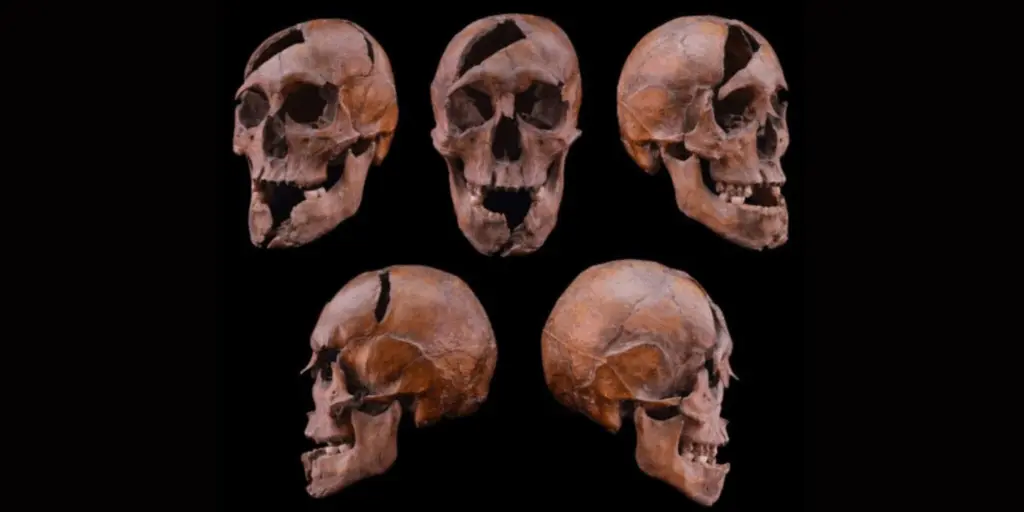 В Угорщині знайшли поховання князя з династії Рюриковичів В Угорщині знайшли поховання князя з династії Рюриковичів