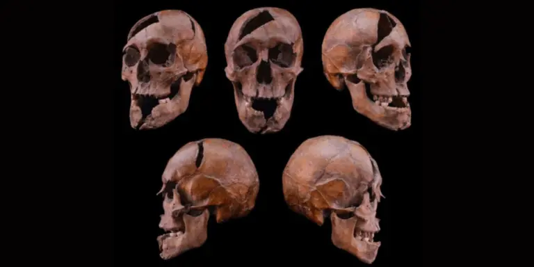 В Угорщині знайшли поховання князя з династії Рюриковичів