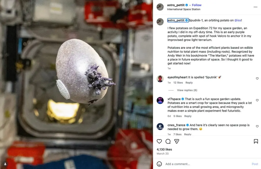 Астронавт показав “інопланетну істоту”, яка виявилася картоплею