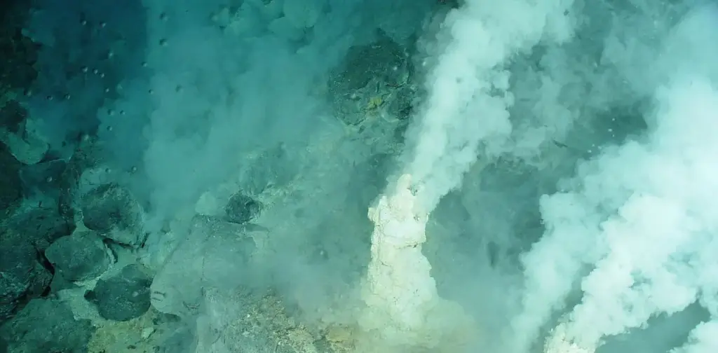 Вчені знайшли сліди життя на дні океану