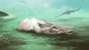 300 млн років обману: Pohlsepia не восьминіг, а наутилоїд