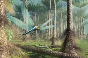 Вчені з’ясували, чому 300 млн років тому комахи бути гігантськими