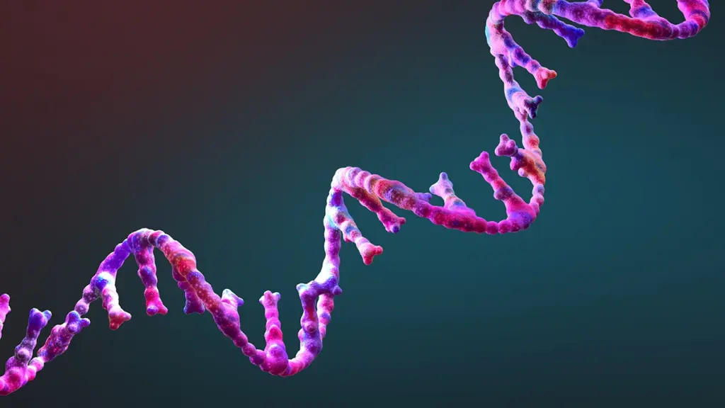 РНК, яка майже відтворює себе: новий ключ до походження життя