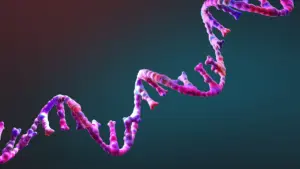 РНК, яка майже відтворює себе: новий ключ до походження життя