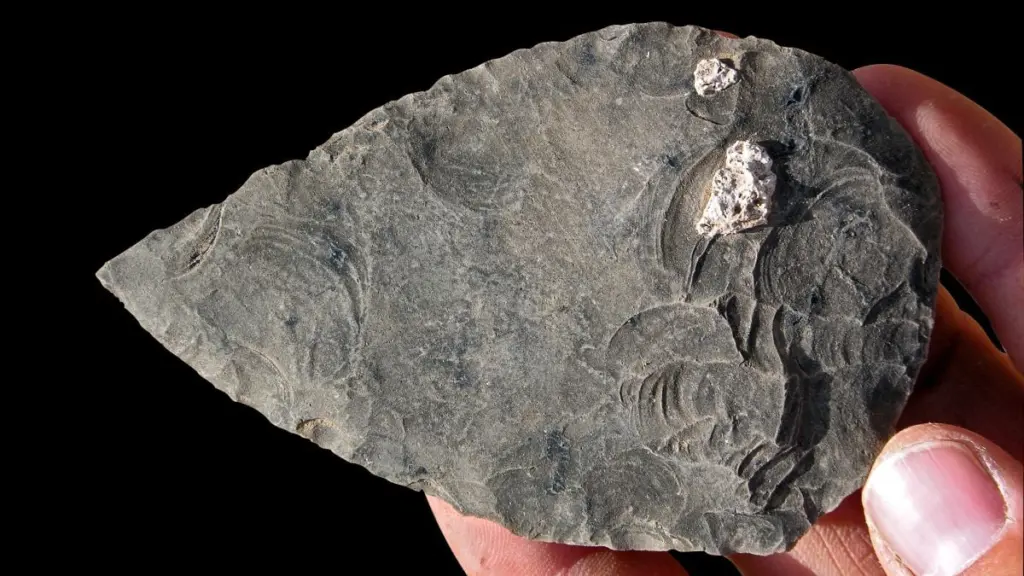 В Ефіопії знайшли людей віком 100 тисяч років — їхні смерті здивували вчених