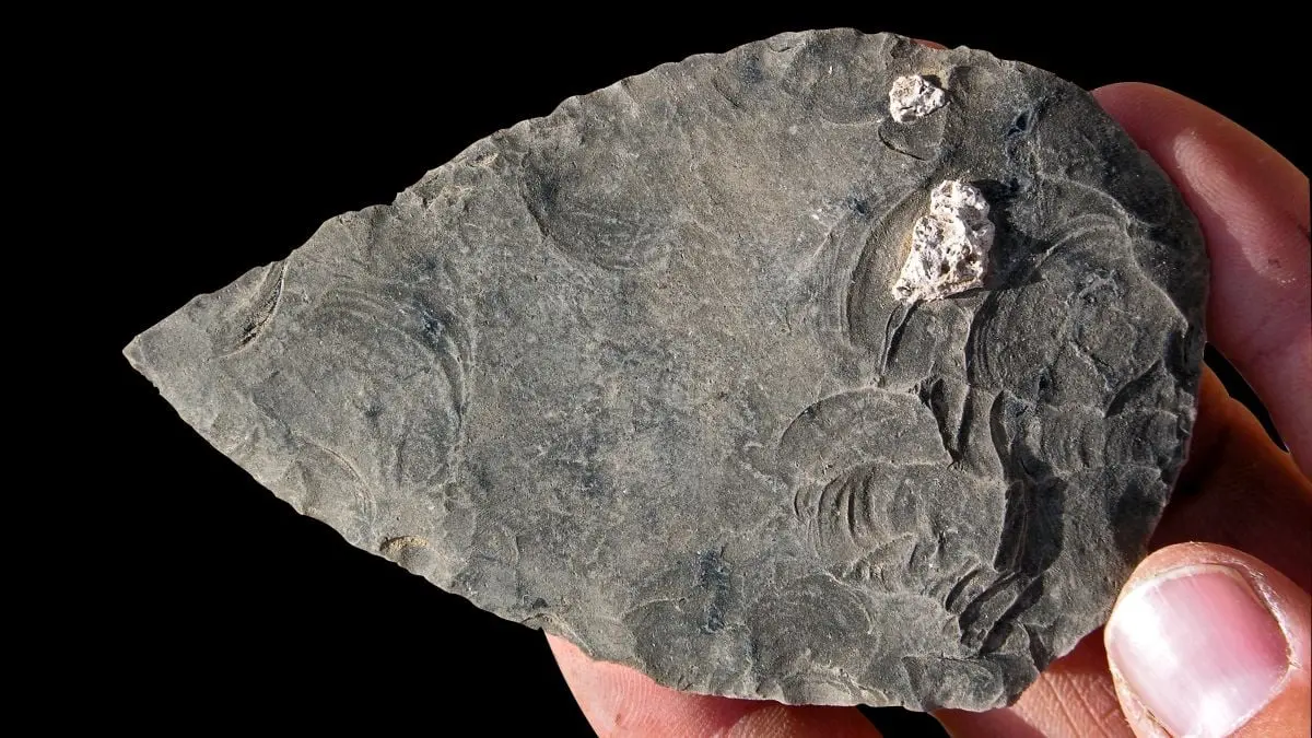 В Ефіопії знайшли людей віком 100 тисяч років — їхні смерті здивували вчених