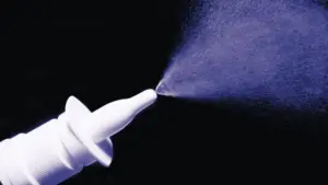 Вчені відновили пам’ять у старіючих мишей за допомогою назального спрею