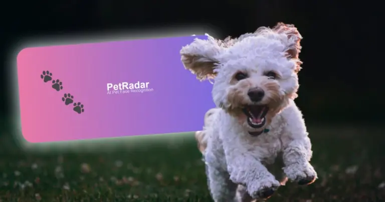 В Україні запустили petradar.ai — сервіс, який знаходить загублених тварин за фото