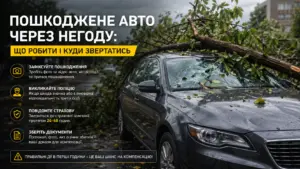 Пошкоджене авто через негоду: що робити і куди звертатися