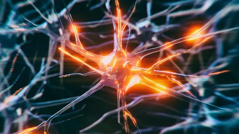 Неочікуваний метод проти Альцгеймера показав перші результати