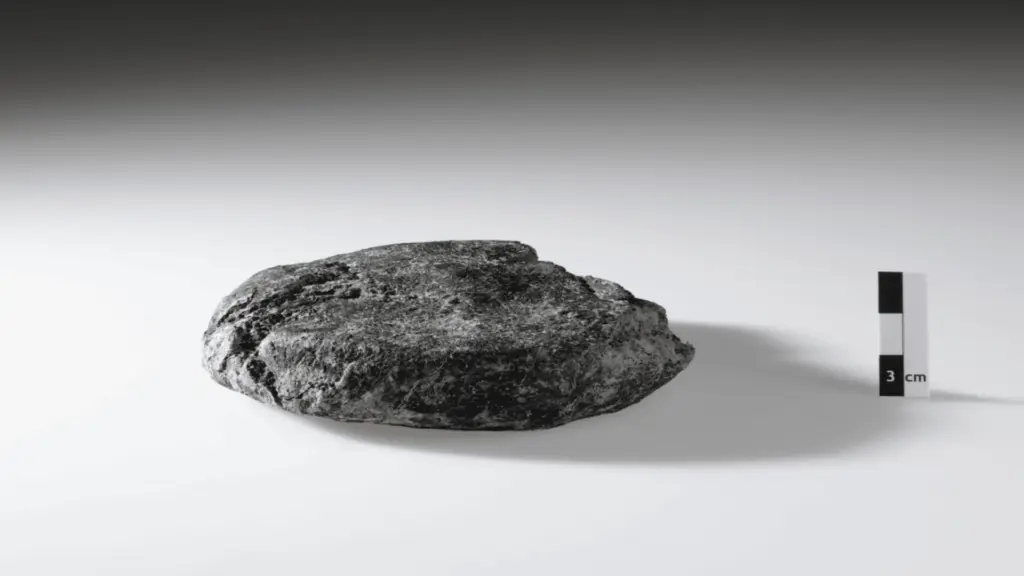 У Швейцарії знайшли найдавніший римський хліб: що в ньому можуть виявити