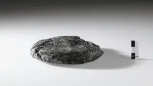 У Швейцарії знайшли найдавніший римський хліб: що в ньому можуть виявити