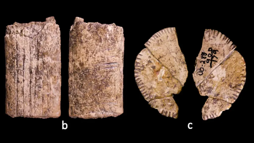 Вчені знайшли найстаріші “гральні кістки” — їм понад 12 000 років