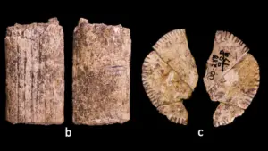 Вчені знайшли найстаріші “гральні кістки” — їм понад 12 000 років